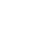 we love new we love new